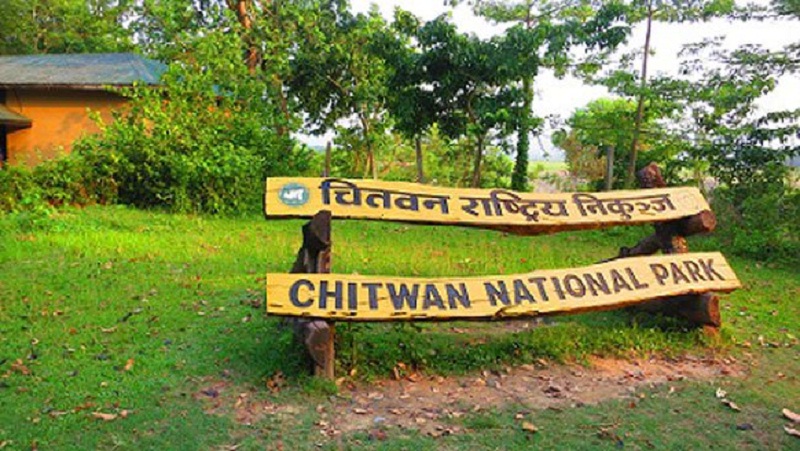 Chitwan 16